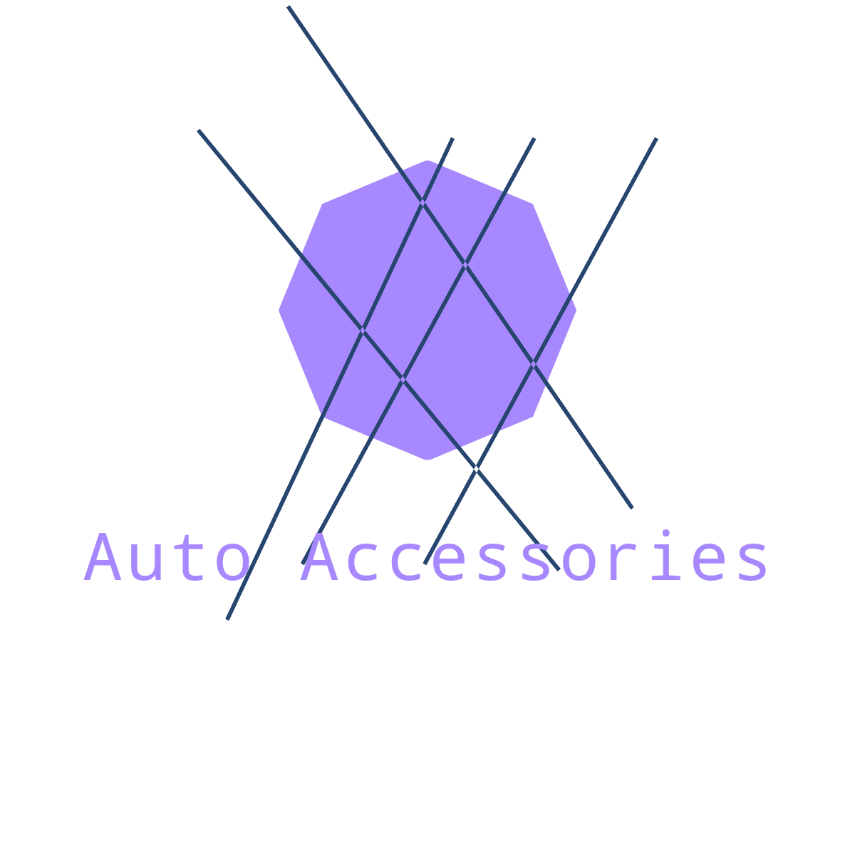 Auto Accessories